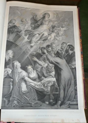 Illustration # 140, after Rubens